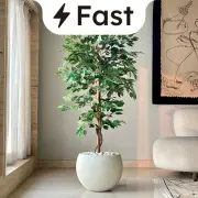 Fast Delivery category