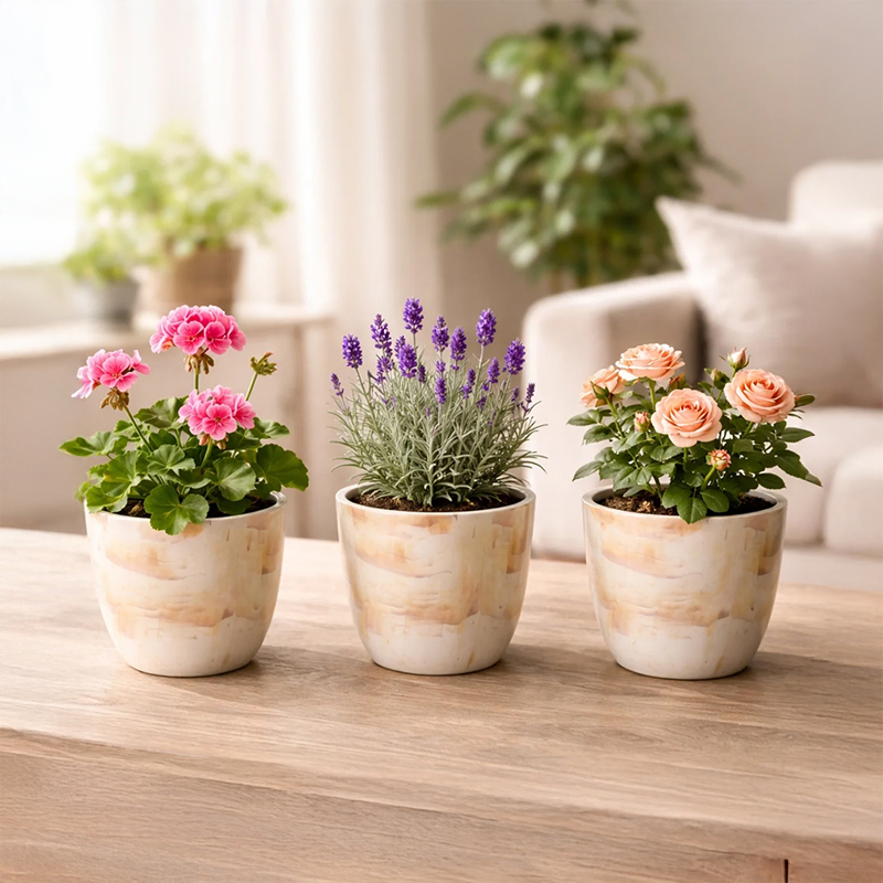 Set of Three