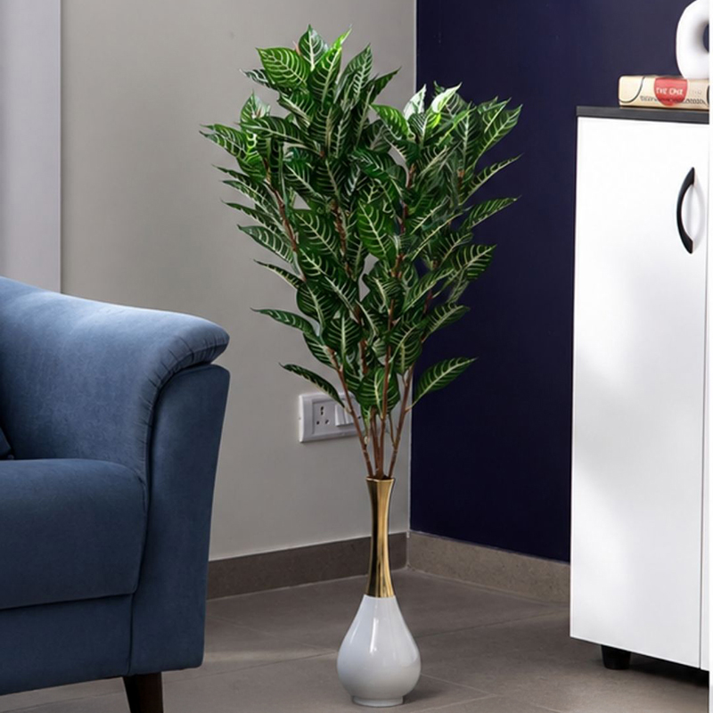 Croton Plant I