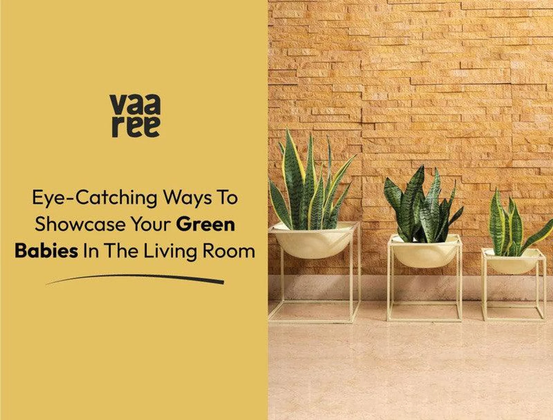 Top 5 Ways for Styling Greenery and Florals in Your Living Room