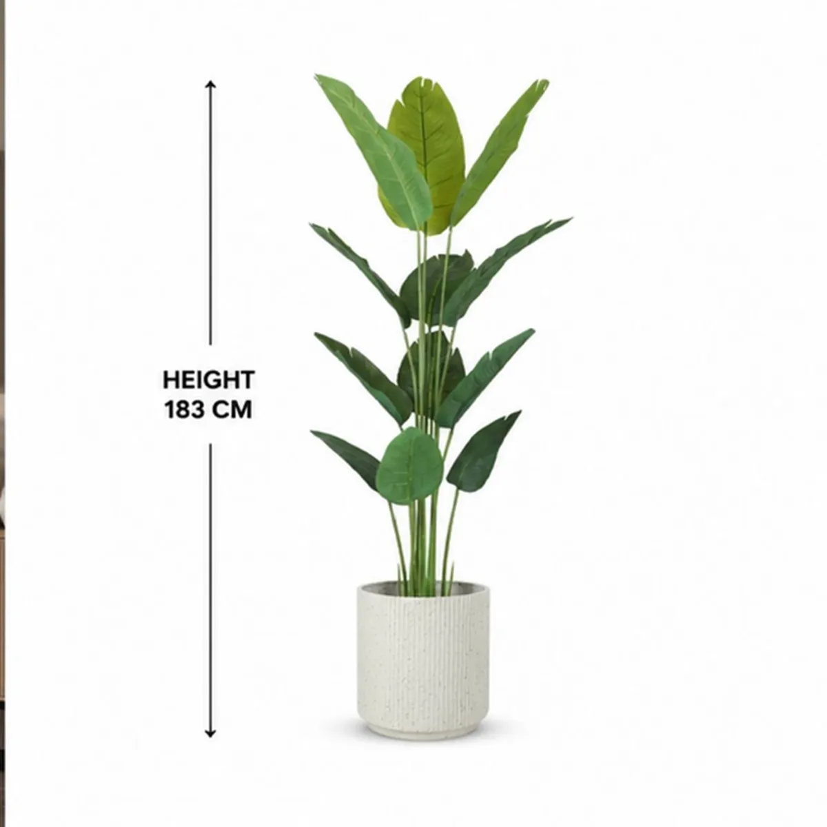Full artificial Bird of Paradise plant with upright leaves and included pot shown front-on