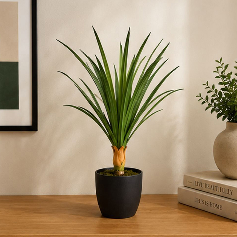 35 cm (1.1 ft) Evergreen Artificial Dracaena Marginata Plant