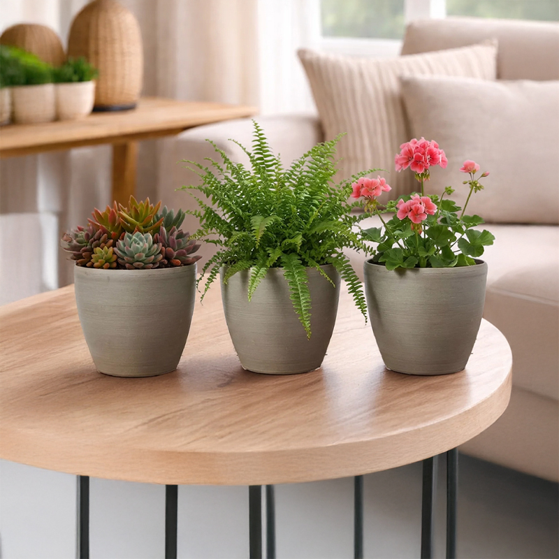 Set of Three