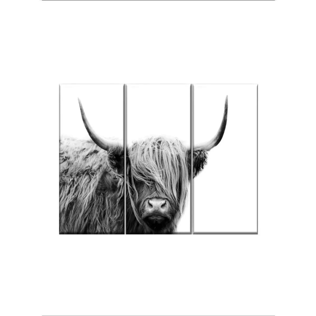 Front view of the three-panel Highland bull canvas wall painting