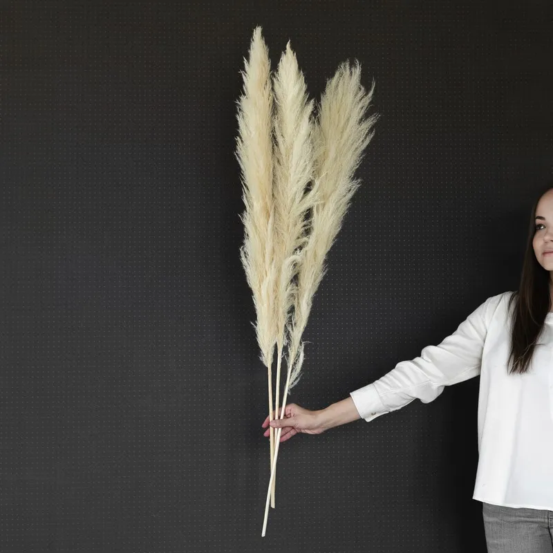 Hand holding three ivory dried pampas stems against a dark background