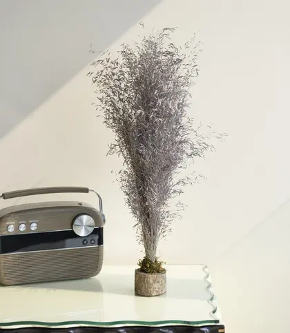 Dried Flowers & Leaves