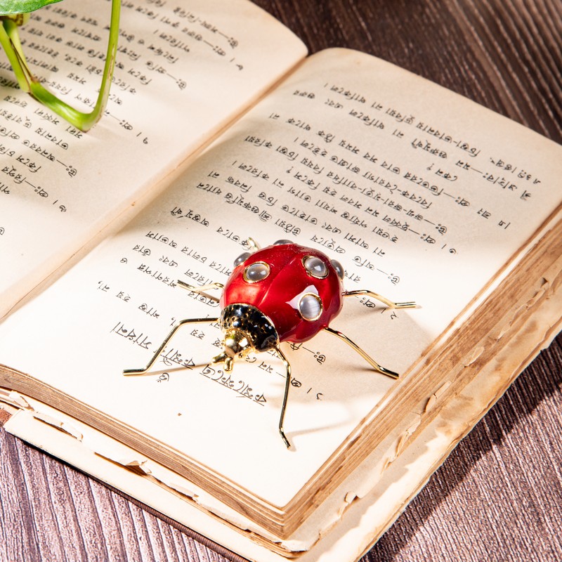 Ladybug