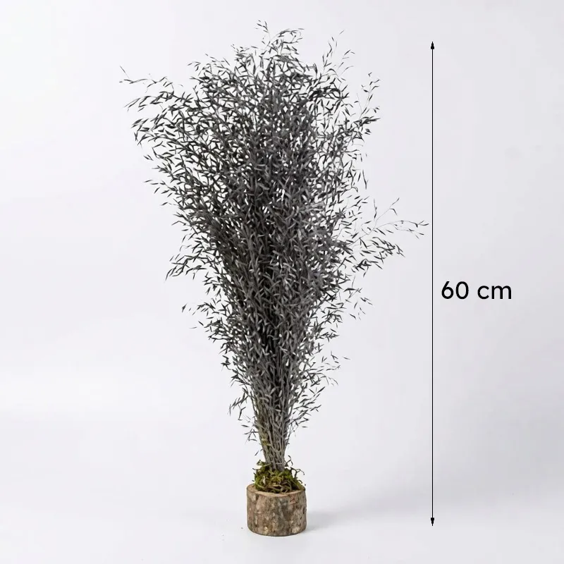 Purple dried grass arrangement shown with a 60 cm height reference