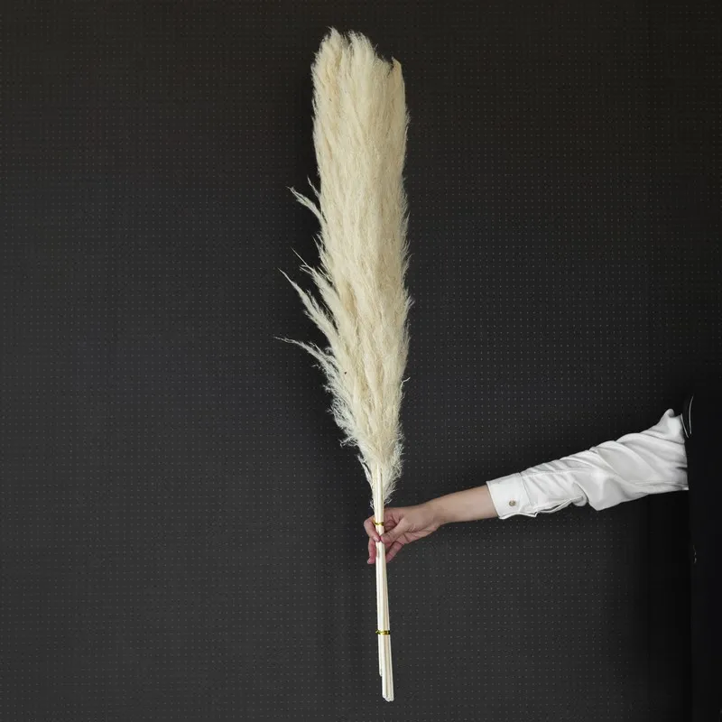 Hand holding a bundled bunch of ivory dried pampas stems