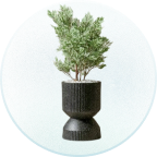 Pots & Planters
