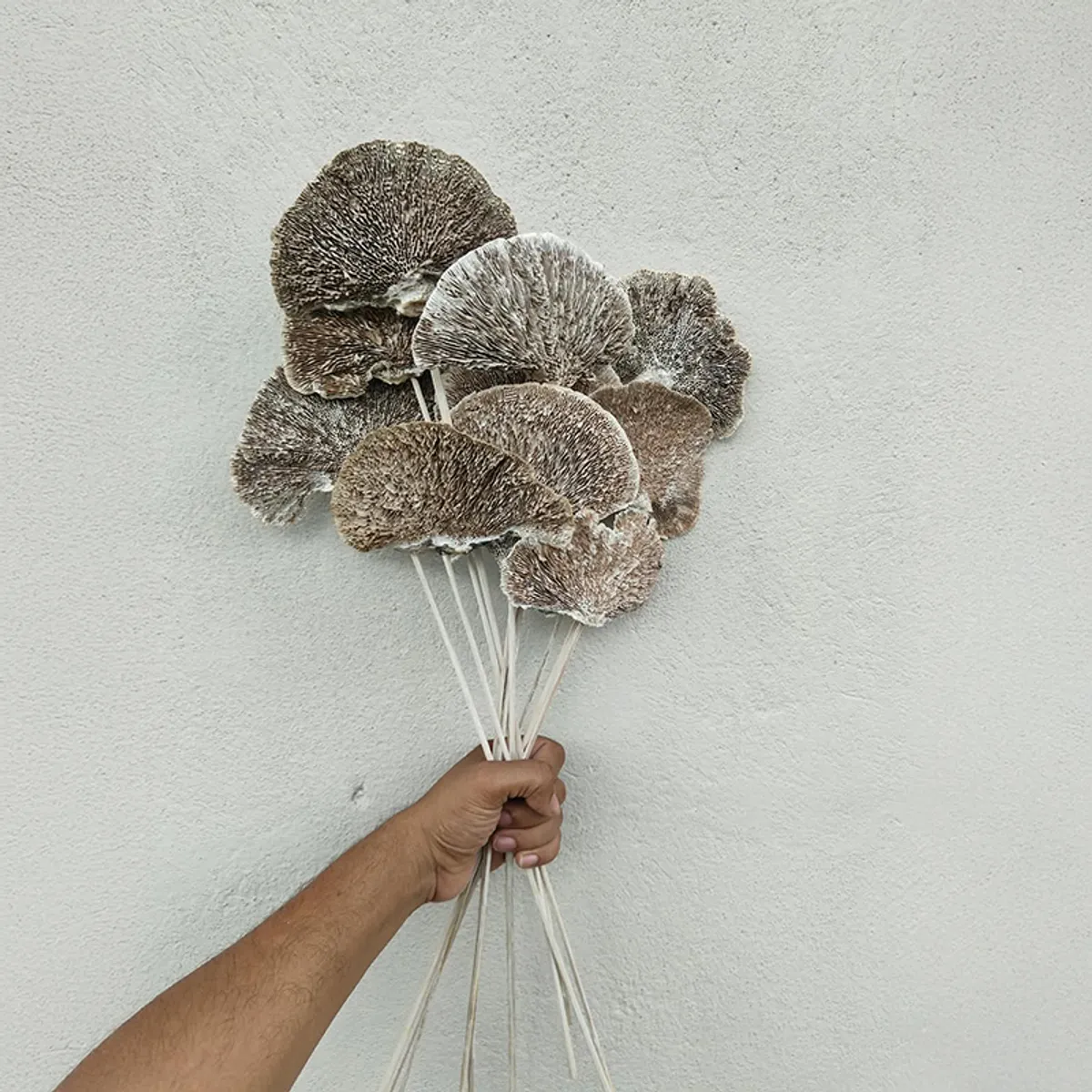Palm Spear Sola Wood Artificial Flower (Beige) - Set of Ten