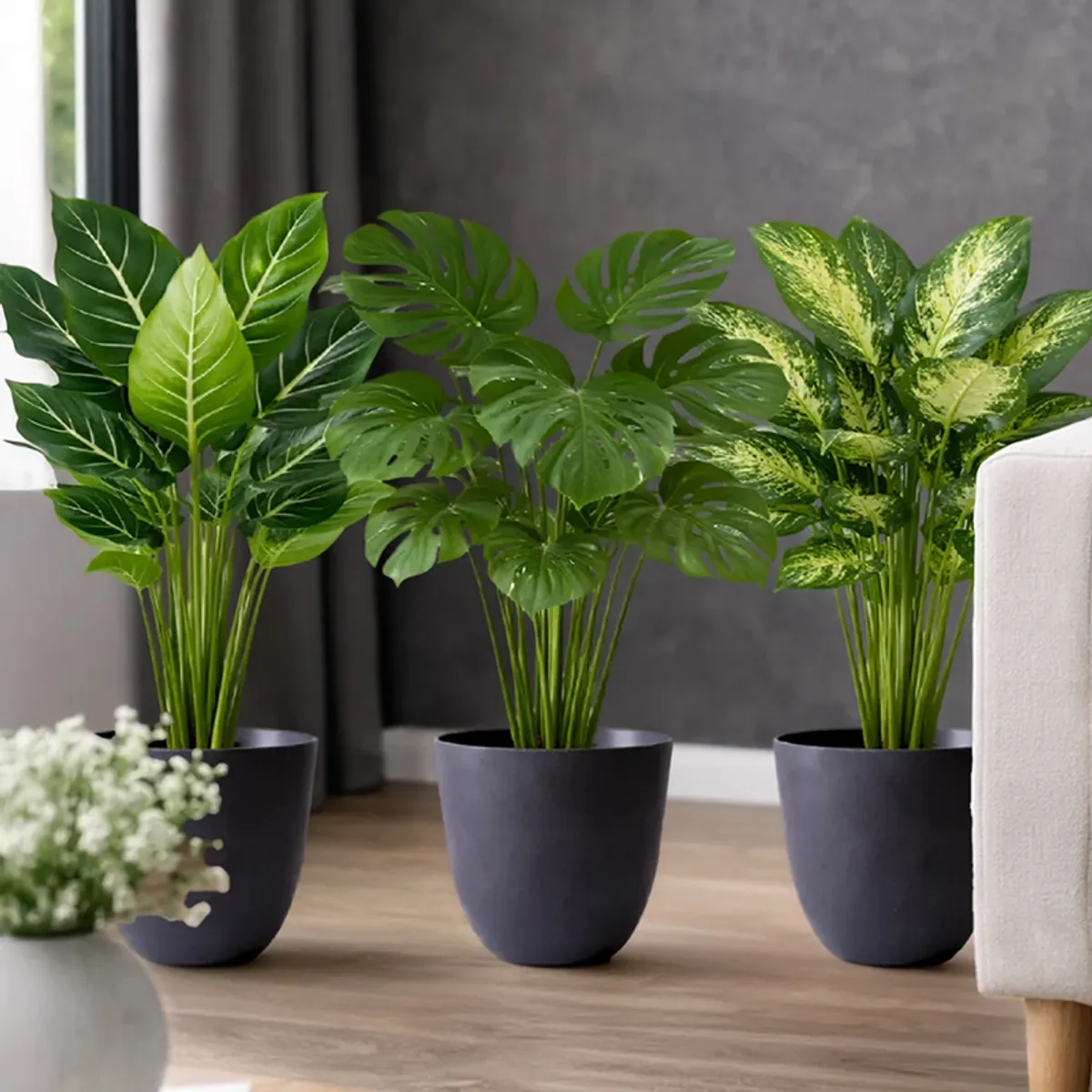Three black cylindrical planters with lush green foliage beside a sofa