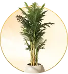 Artificial Plants