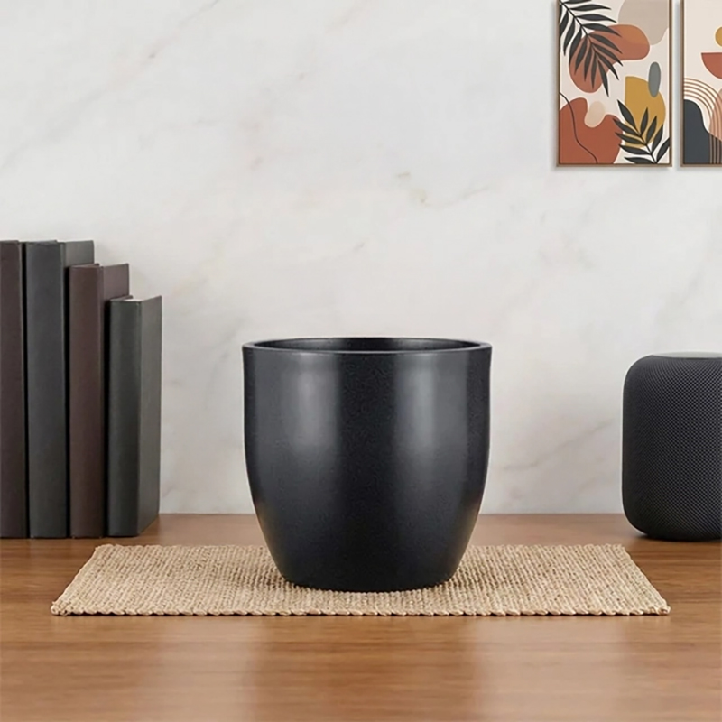 Desert Bloom Polymer Planters - Black
