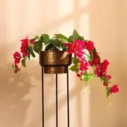 Floral Plants category