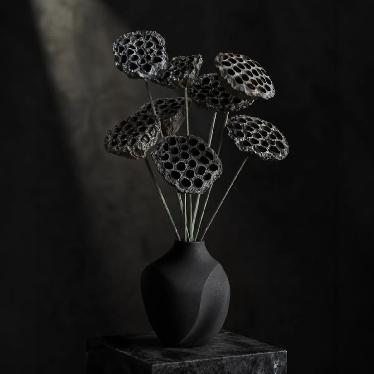 Black lotus seed pod sticks arranged in a sculptural black vase