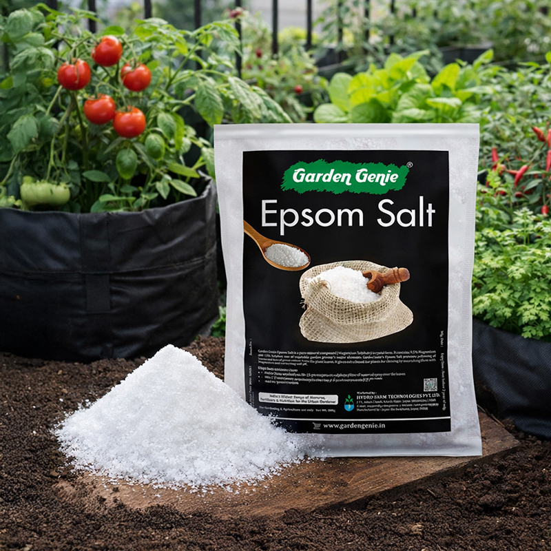 Epsom Salt