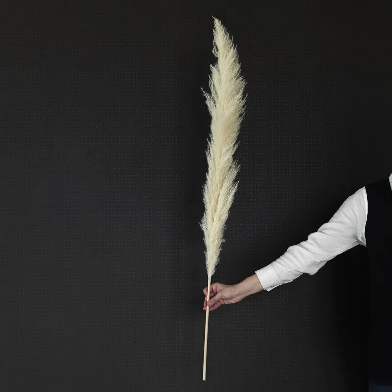 Hand holding a single ivory pampas stem against a dark background