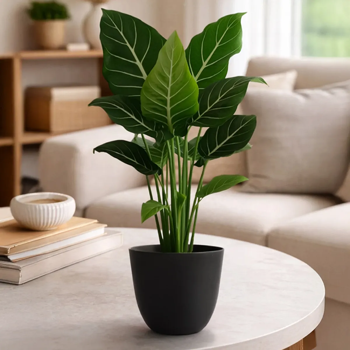 Leafy green plant in a black matte planter styled on a living room table