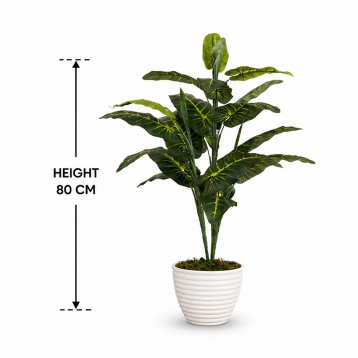 Artificial elephant ear plant shown with an 80 cm height indicator