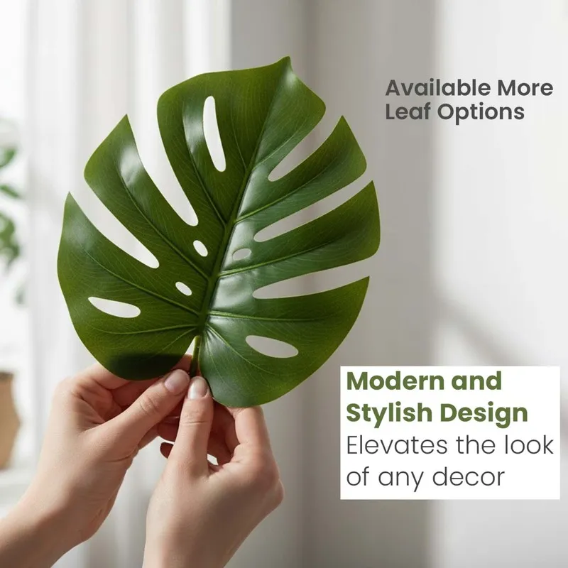 Close-up of a green Monstera leaf with distinctive split detailing.