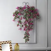 Hanging Plants category